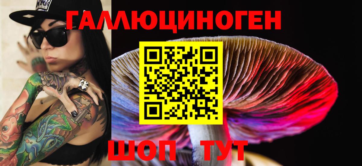 где найти наркотики  Вход с VPN  Волхов  Псилоцибиновые грибы ЛСД 